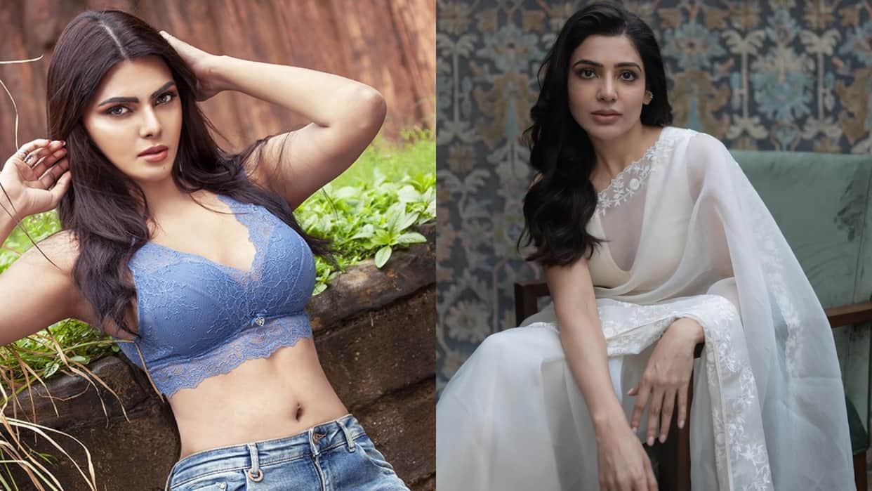 Filmy Wrap Salman Khan Kisi Ka Bhai Kisi Ki Jaan MC Stan Palak Tiwari Sherlyn Chopra KGF 3 Entertainment news