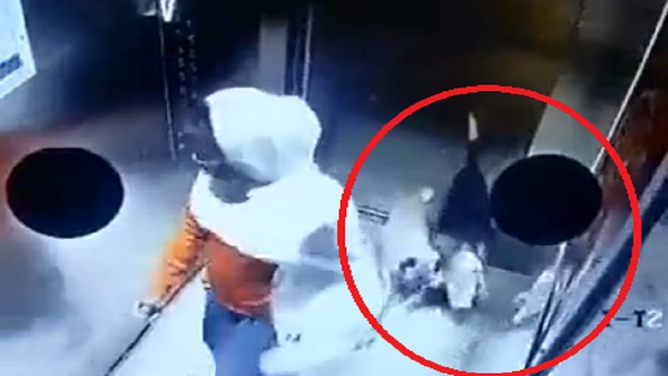 domestic help beats a dog in lift of a society located in Gurugram Sector-109 CCTV footage viral
