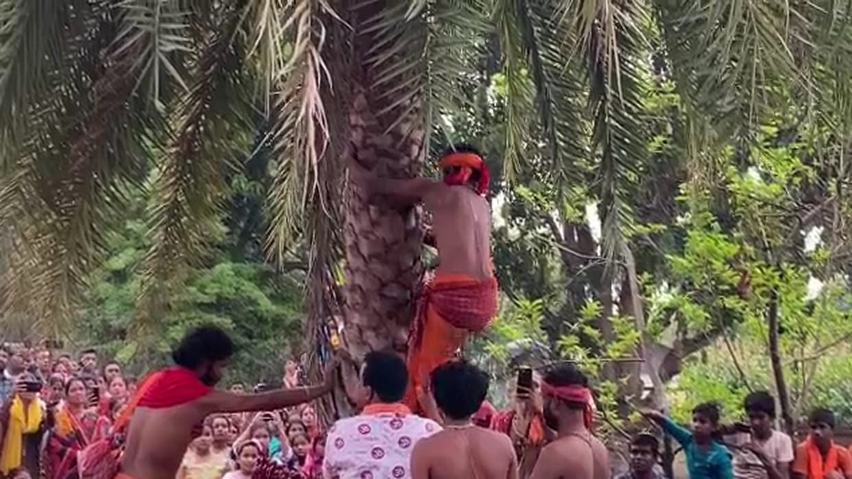Bengali Shiva devotees Special Charak Puja in Chhattisgarh Kanker, see video