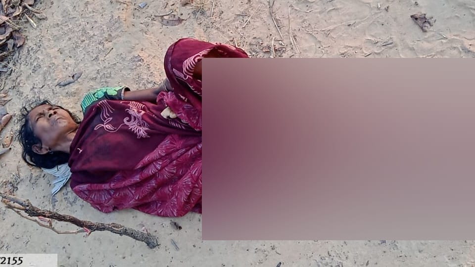 Korba woman gone for picking mahua fruit attacked by elephant get fracture in hand legs hospitalised