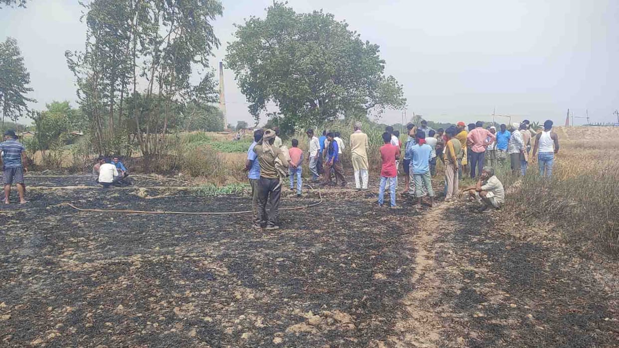 Kanpur: Sparks came out from electric wires, five bighas of wheat crop burnt to ashes