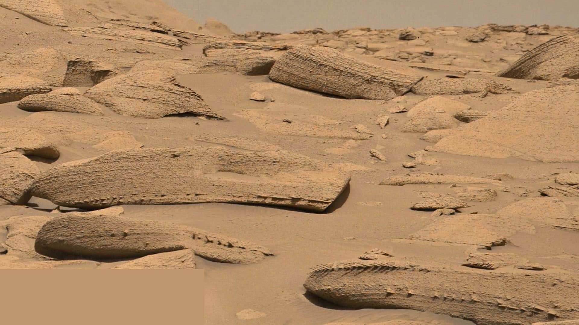 Life on Mars: NASA curiosity rover finds dragon bone-like structure on Mars with bizarre images causing stir