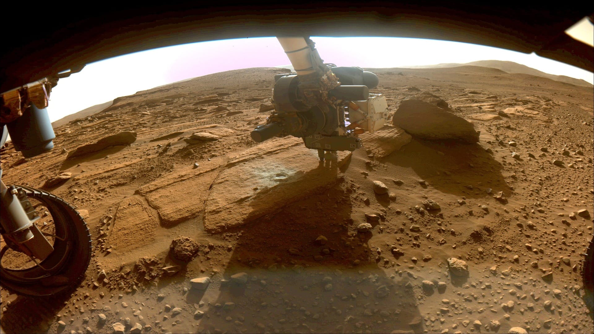 Life on Mars: NASA curiosity rover finds dragon bone-like structure on Mars with bizarre images causing stir