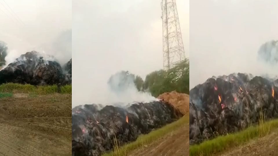 Hundred acres of stubble burnt in Rohtak, Due to enmity worker executed incident