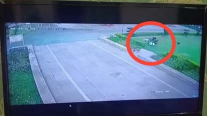 Municipal corporation caught 10 dogs from AMU