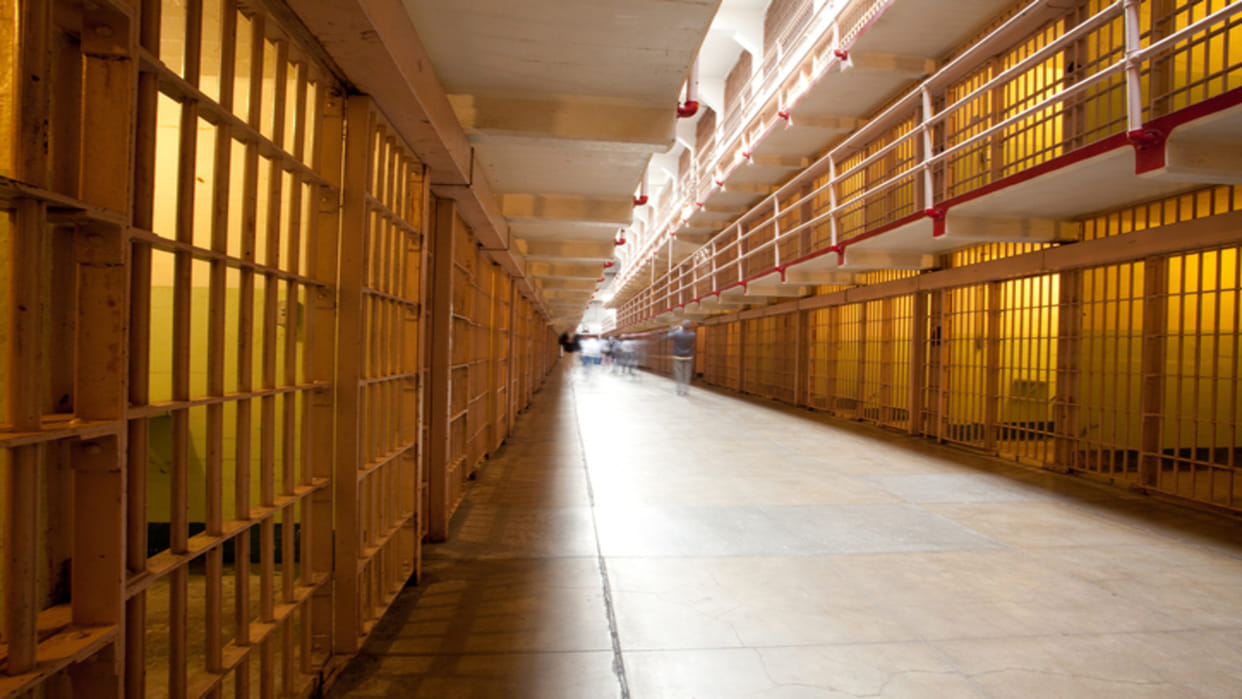 Ajab-Gajab: Eaten Alive By Insects US Man Found Dead Inside Jail Cell Infested With Bed Bugs