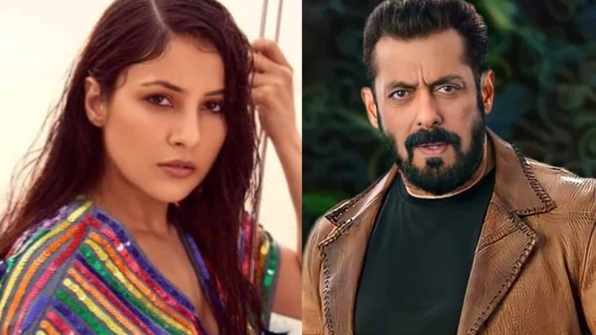 Shehnaaz Gill Talk about Salman Khan Actress Said He Is Same in reality as on Bigg Boss stage