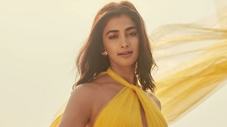 kisi ka bhai kisi ki jaan Actress pooja hegde reacted on user asked south movie or hindi movie read here