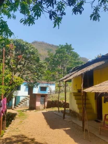 बाघ से खौफ से पौड़ी में लगा कर्फ्यू