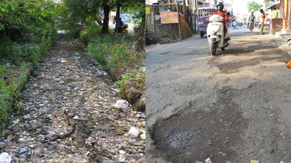 overflowing drains and broken roads in many vards of Bareilly