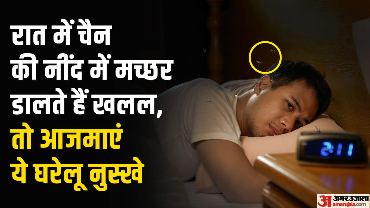 Mosquito Remedies: How to get relief from mosquito bite itching