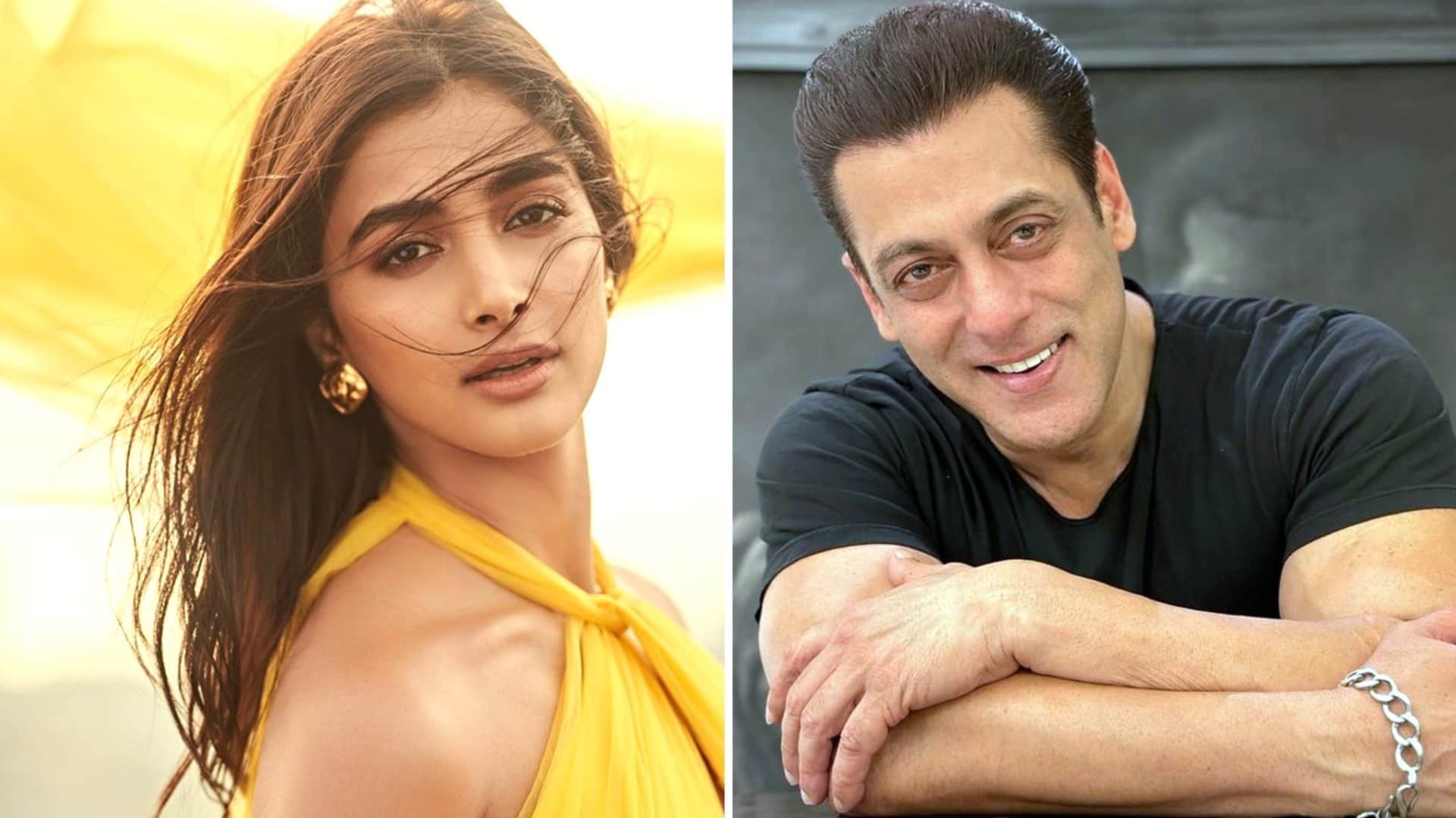 Filmy Wrap honey Singh Priyanka Chopra Ranbir Kapoor Brahamastra Badshah Pathaan Tiger entertainment news