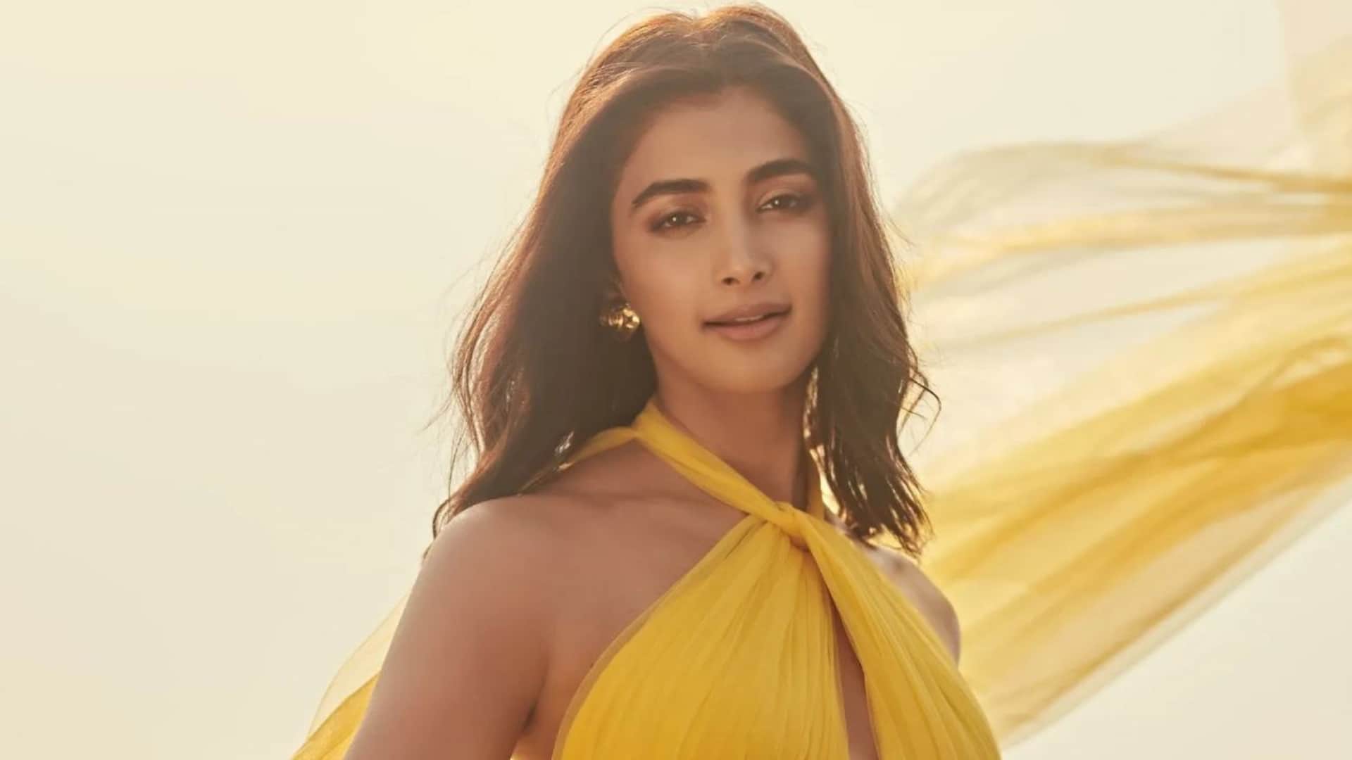 kisi ka bhai kisi ki jaan Actress pooja hegde reacted on user asked south movie or hindi movie read here