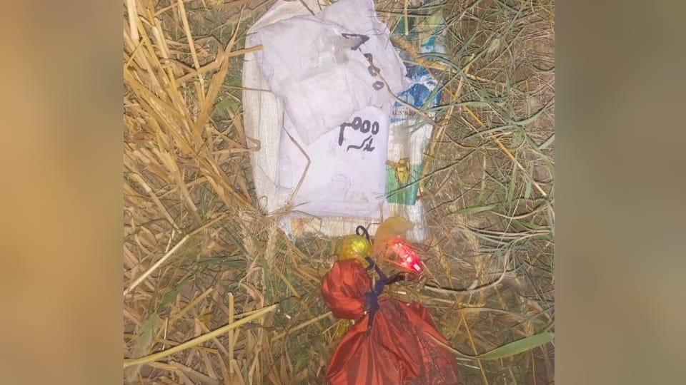 BSF recovered two packets of heroin from near Chak Bajida village of Fazilka