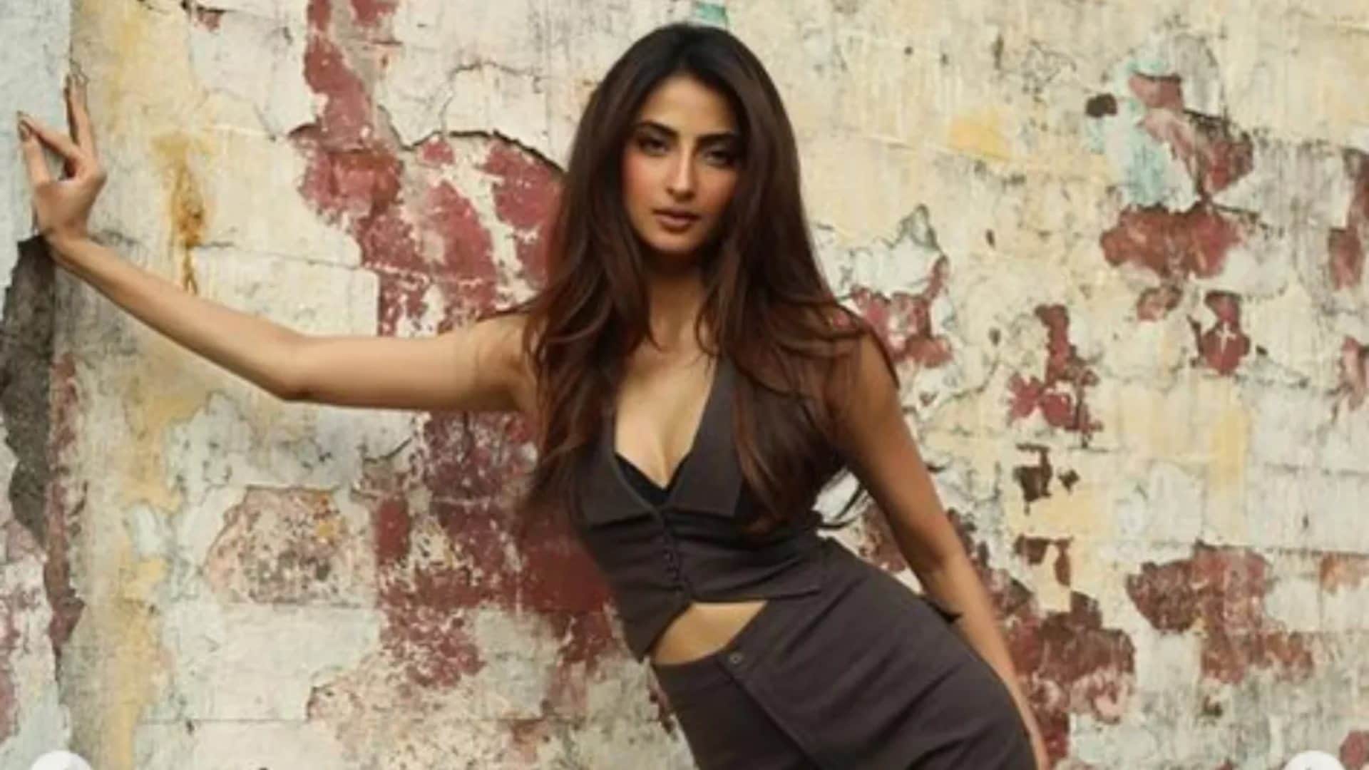 Shehnaaz Gill Refuse Palak Tiwari Claims On Kisi Ka Bhai Kisi Ki Jaan Star Salman Khan know actress reaction