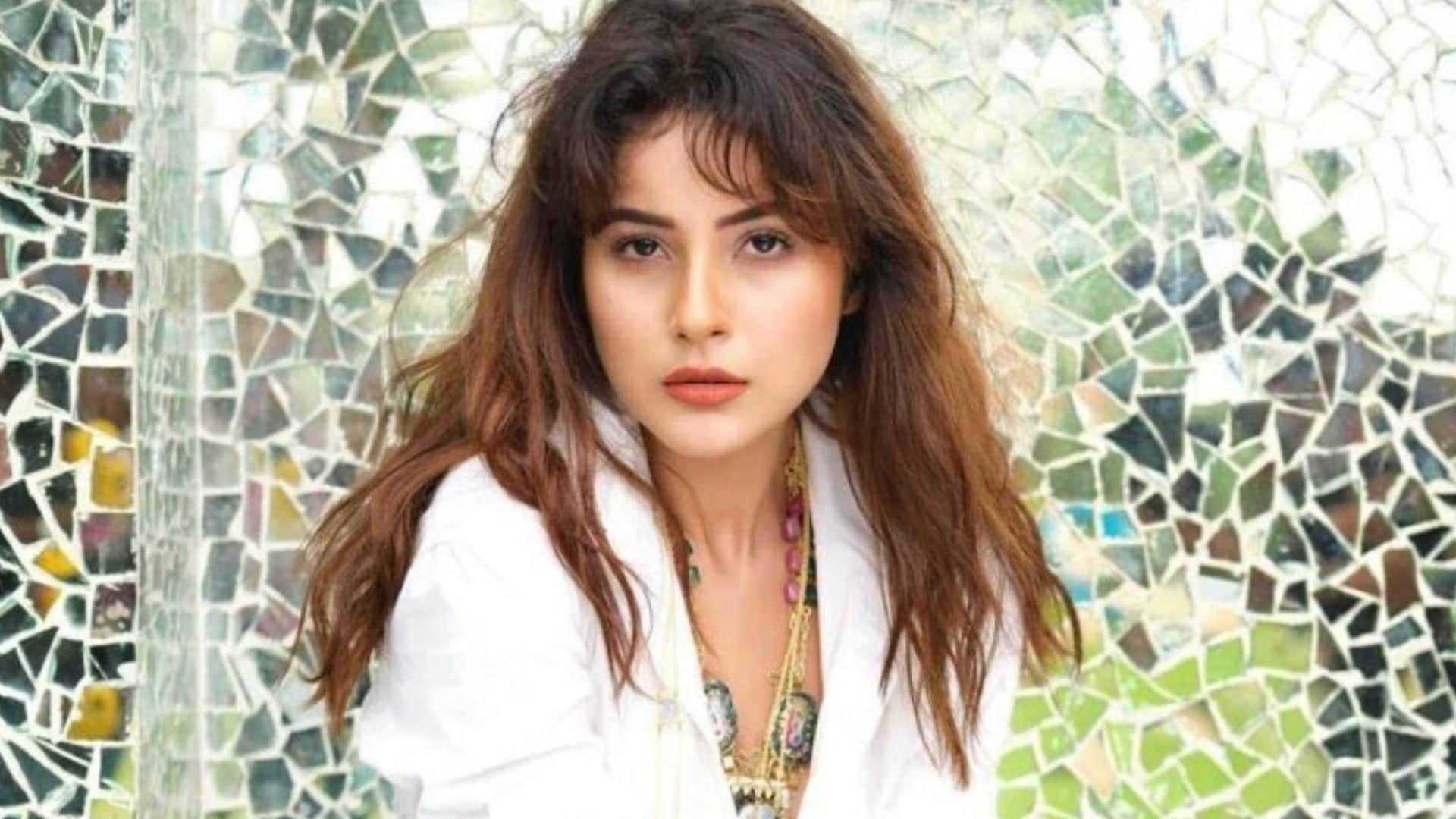 Thank You for Coming Fame Shehnaaz Kaur Gill Wants Work With Animal Star Ranbir Kapoor know here Details