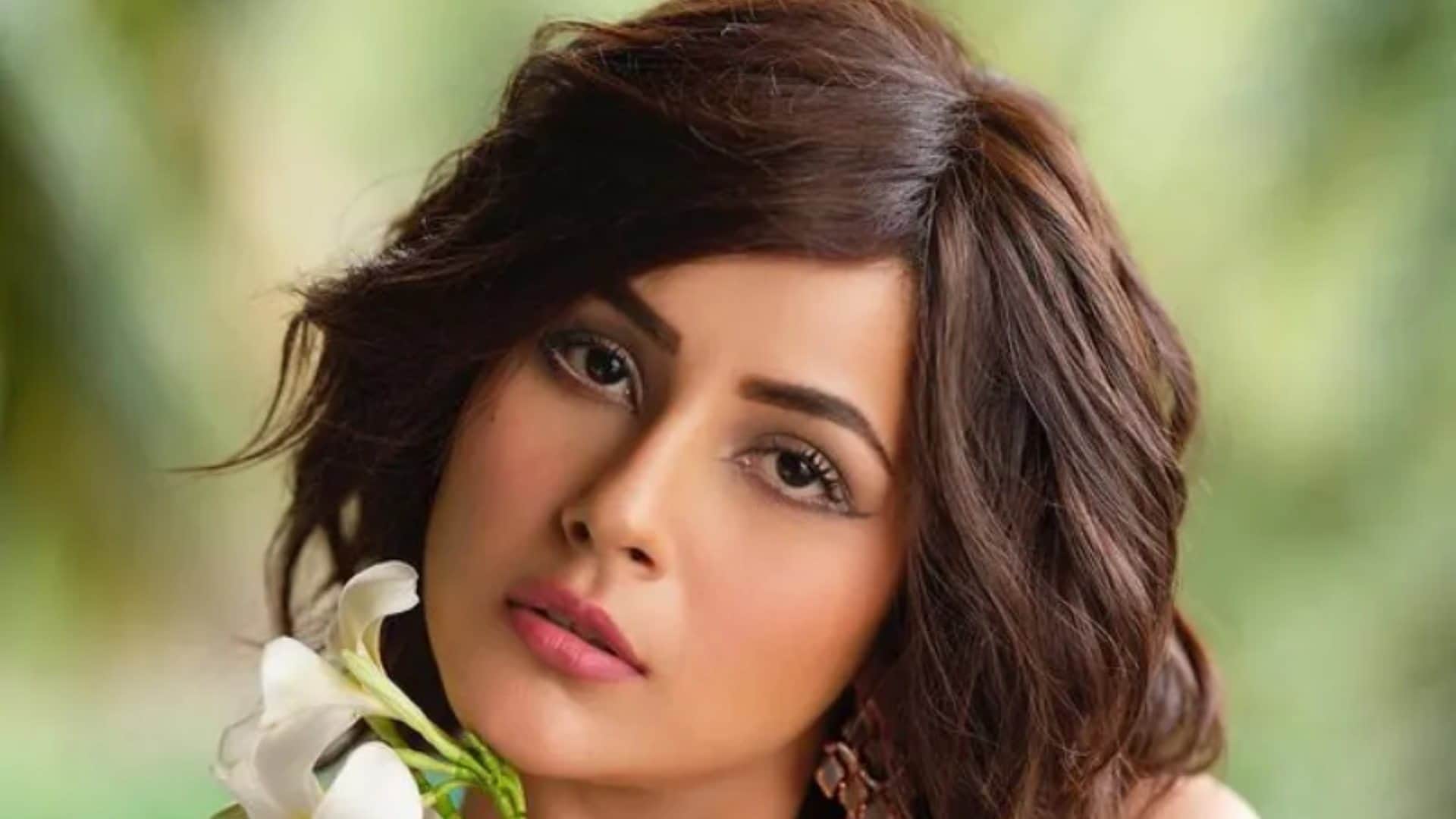 Shehnaaz Gill Refuse Palak Tiwari Claims On Kisi Ka Bhai Kisi Ki Jaan Star Salman Khan know actress reaction