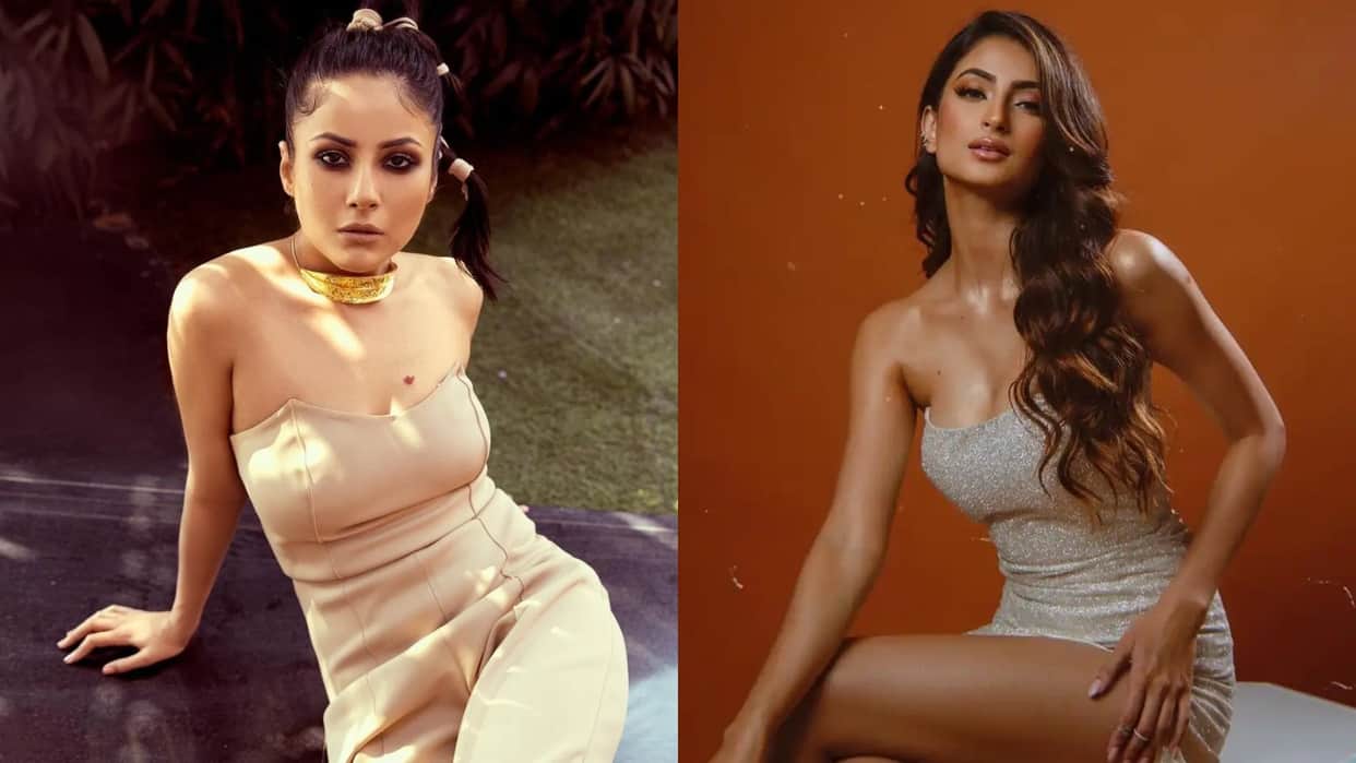Shehnaaz Gill Refuse Palak Tiwari Claims On Kisi Ka Bhai Kisi Ki Jaan Star Salman Khan know actress reaction