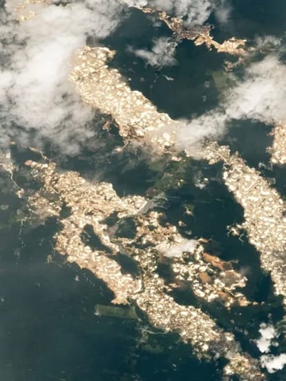 stunning photo of forest in peru where glittiring gold can be seen