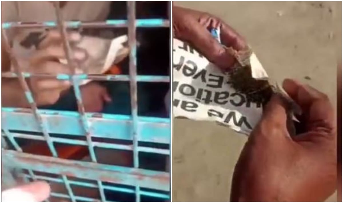 Video of marijuana sold at bhang shop goes viral in varanasi Amitabh Thakur complains