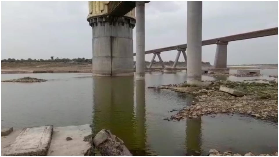18 year old girl jumped into Chambal river in Dhaulpur Rajasthan Hindi News