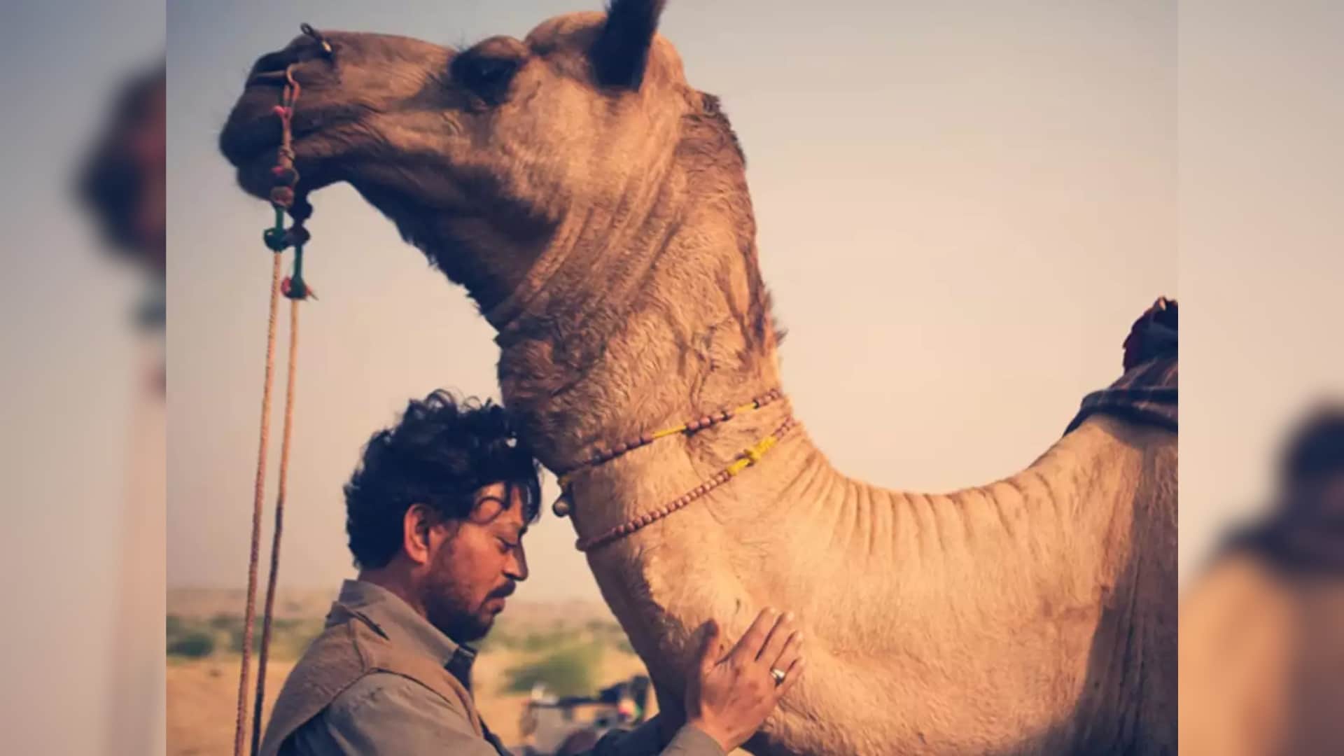 Irrfan Khan Last Film The Song Of The Scorpions will release on this date know all Details here