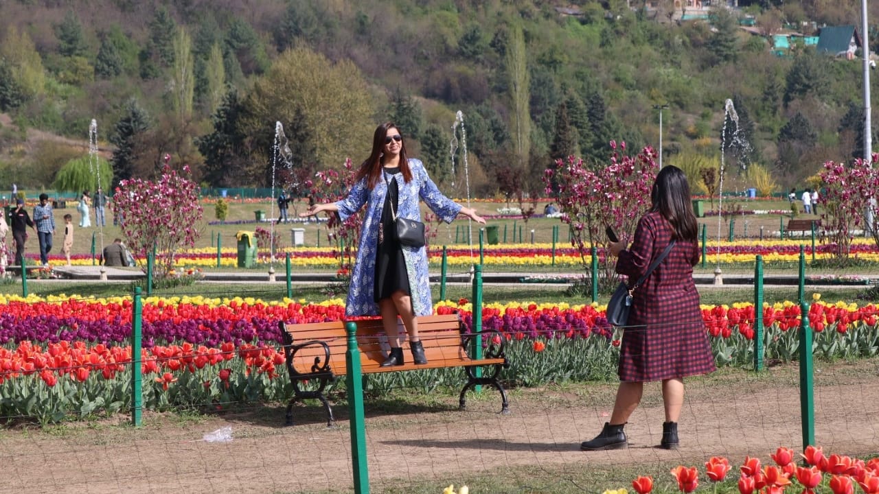 Tulip Garden in kashmir: 3 dot 5 lakh tourists have visited so far this year