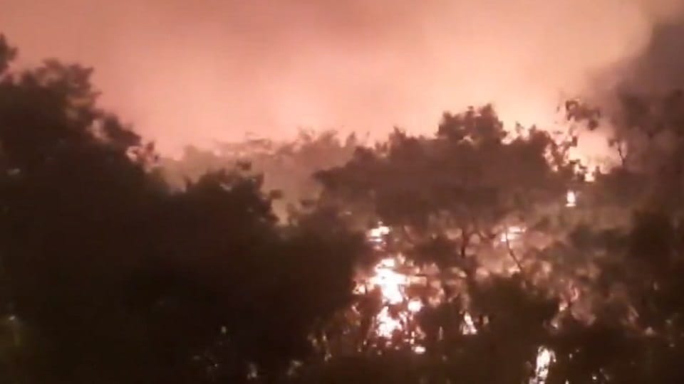 Fire at Biodiversity Park in Wazirabad, Delhi.