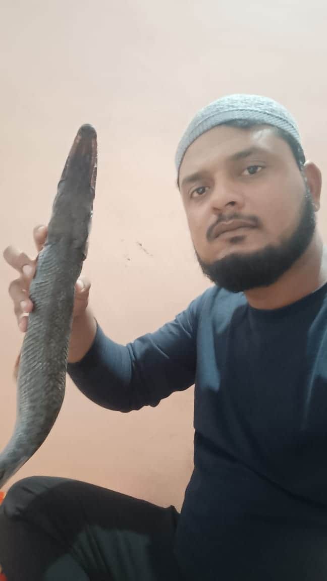 MP News: Crocodile-like fish found hunting humans in Bhopal's big pond