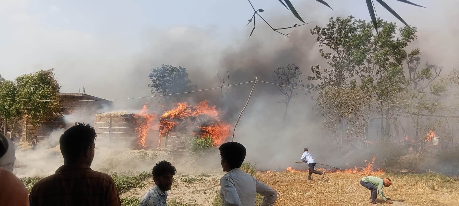 Houses of 50 people burnt to ashes, 10 goats scorched alive, hundreds of people homeless, will be shocked to s