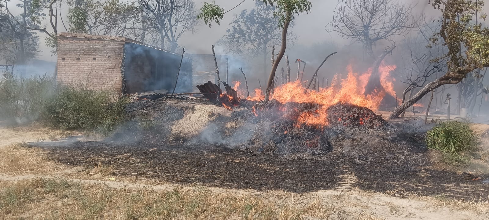 Houses of 50 people burnt to ashes, 10 goats scorched alive, hundreds of people homeless, will be shocked to s