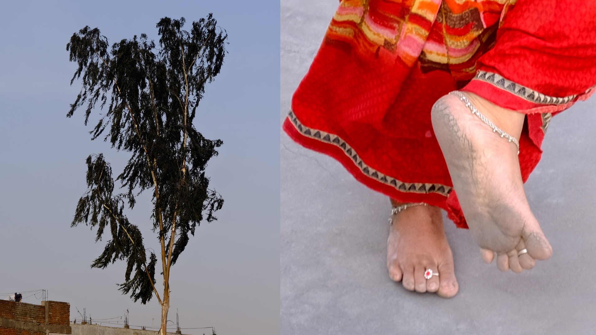 ash coming out of factories is making sick in Gida Sahajanwa Gorakhpur