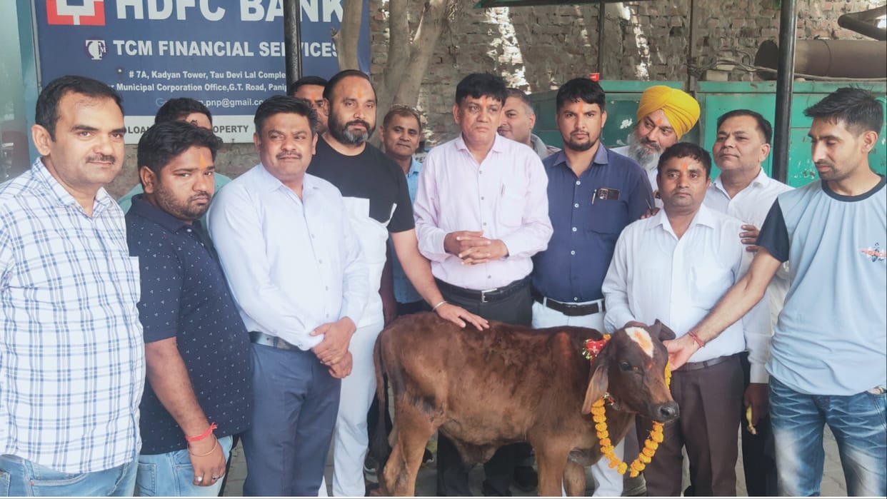 People protested against the administration in Panipat due to destitute cattel