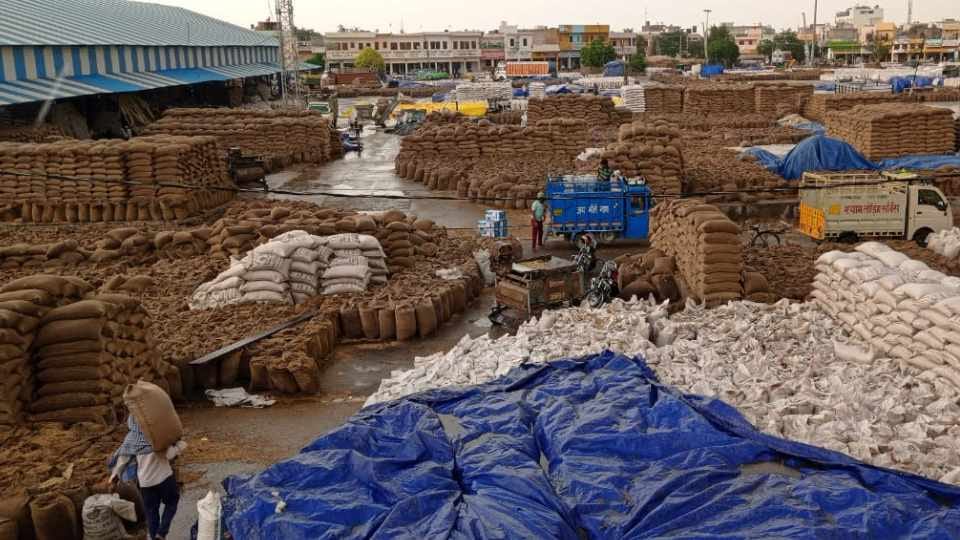 20 lakh metric tonnes of wheat soaked in mandis due to rain in Haryana