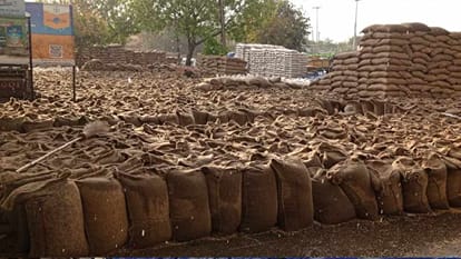 20 lakh metric tonnes of wheat soaked in mandis due to rain in Haryana