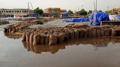 20 lakh metric tonnes of wheat soaked in mandis due to rain in Haryana