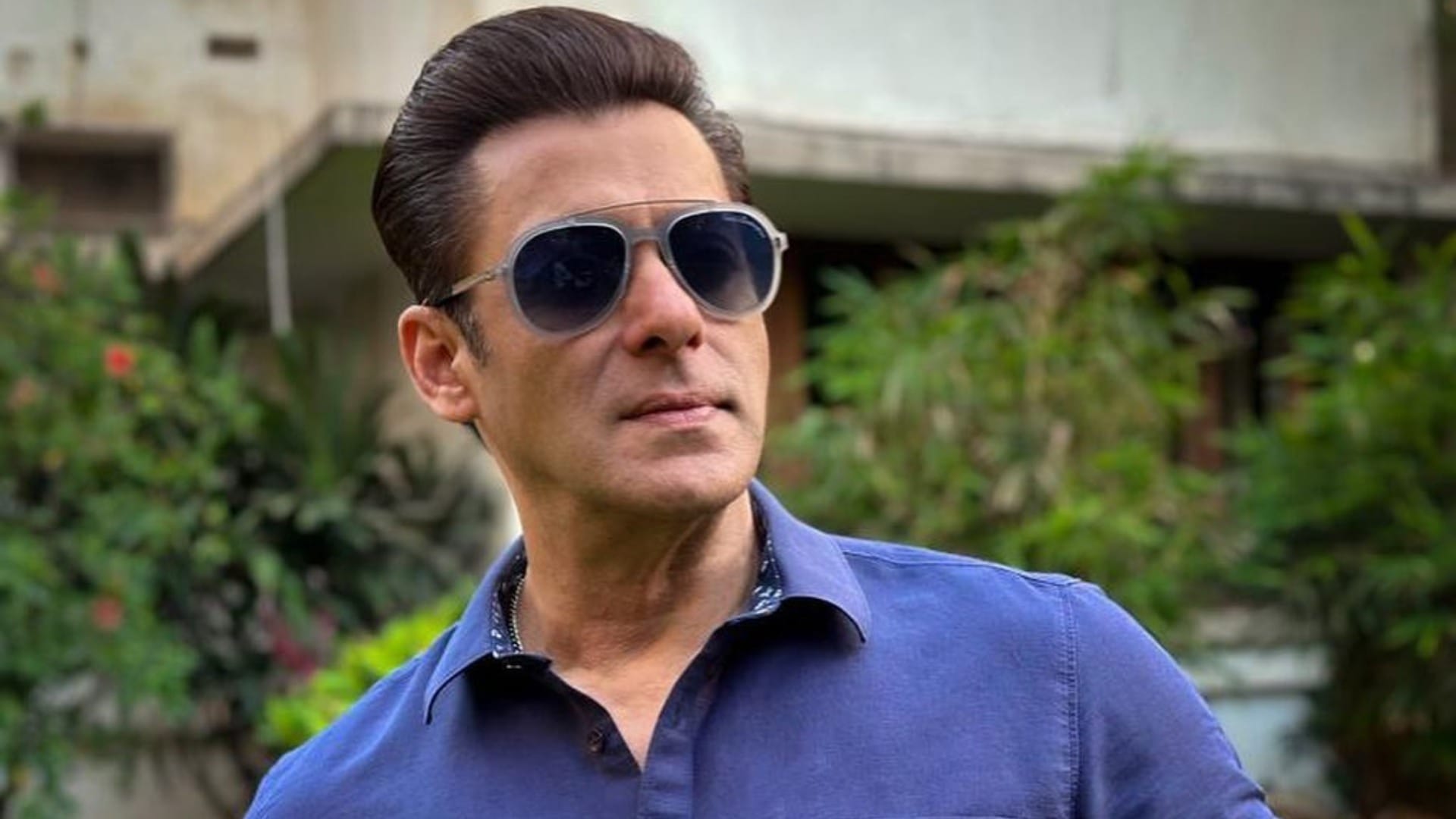 Tiger 3 star salman khan karan johar will shoot Vishnuvardhan film from December casting south actress reports