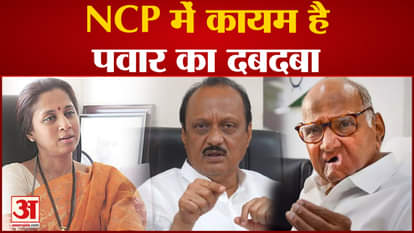 Maharashtra Politics: Sharad Pawar's dominance is intact in NCP. Ajit Pawar
