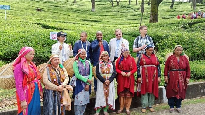 विदेशी मेहमानो को भाया धर्मशाला टी गार्डन, जी – 20 में हिस्सा लेने आए है भारत विदेशी मेहमानो को भाया धर्मशाला टी गार्डन, जी – 20 में हिस्सा लेने आए है भारत