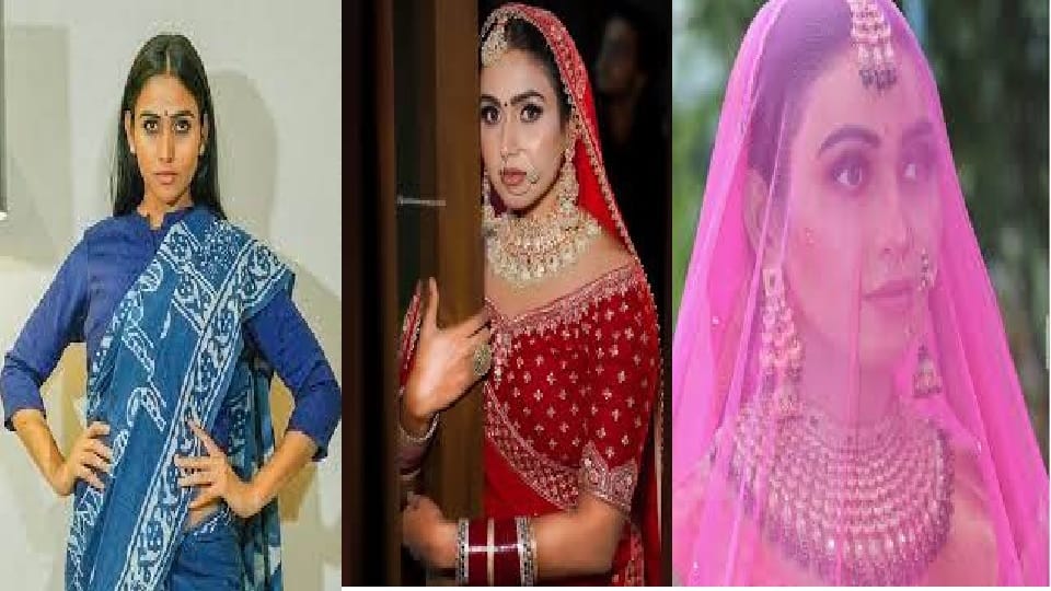 Hindi Diwas: Haryanvi is becoming famous in Hindi Language