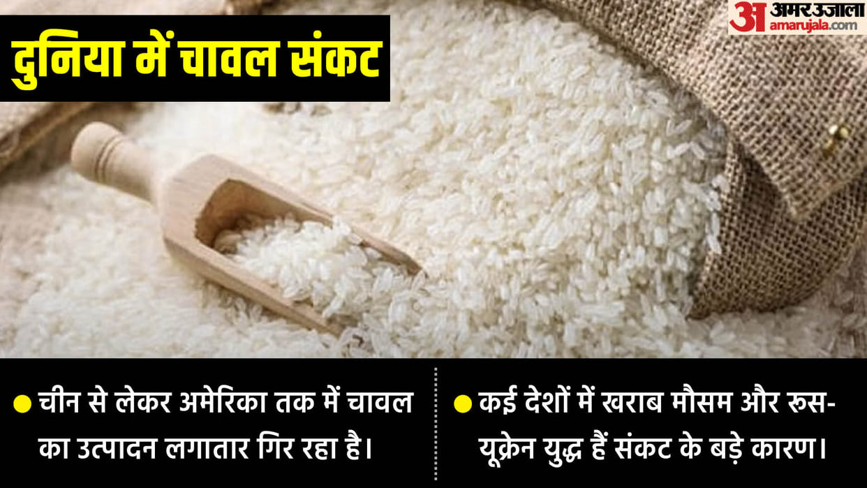Rice Shortage: Shortage of rice in many countries Its impact and option and India status