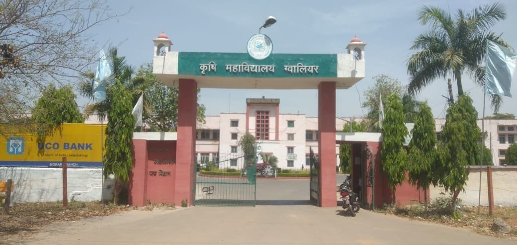 Ragging with a student in Agriculture College Gwalior, accused of assaulting senior students by stripping them
