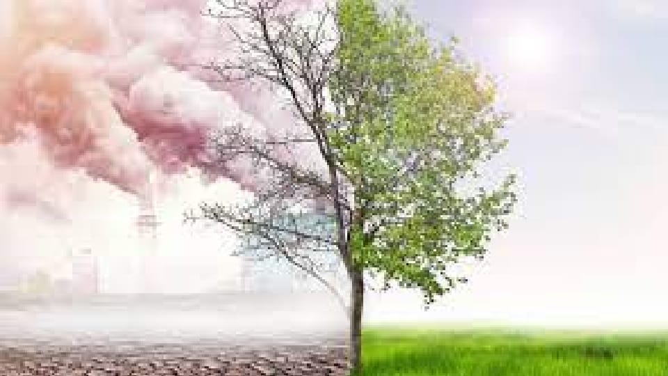 Sonipat: 2D sensing material will tell pollution inside house