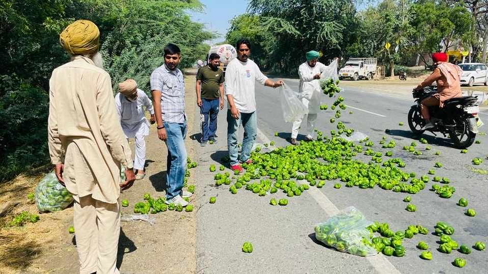 Farmers throwing capsicum on the road in Punjab