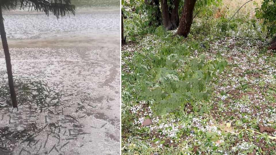 Punjab Weather News Rain and hailstorm in many areas of Punjab