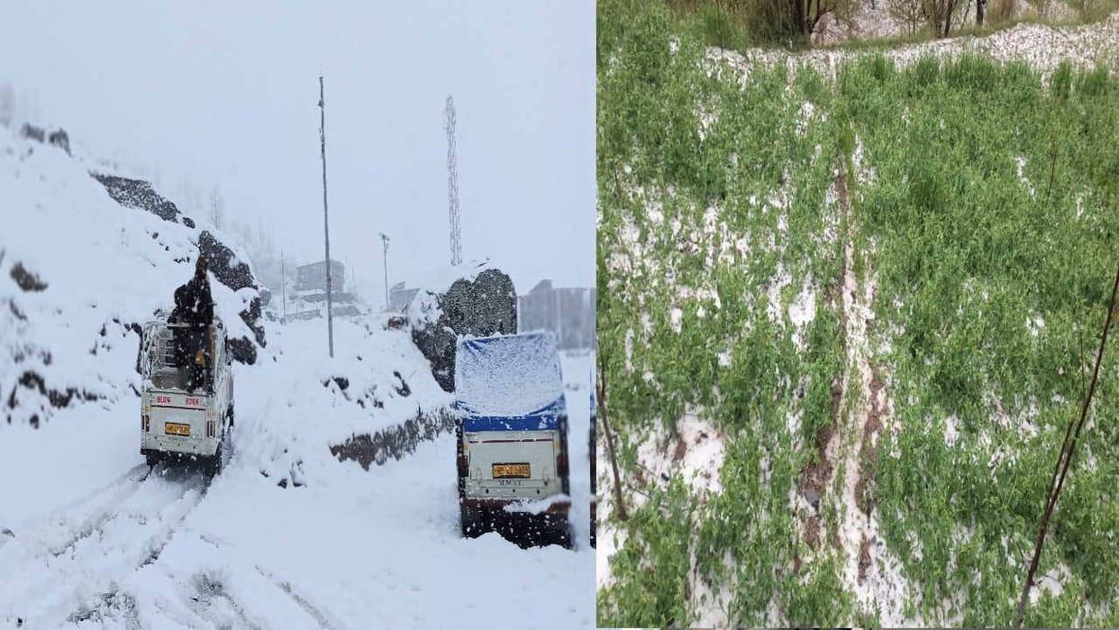 Himachal weather: Avalanche in Lahaul-Pangi, wheat due to hail-rain, damage to apple due to snowfall, 63 roads