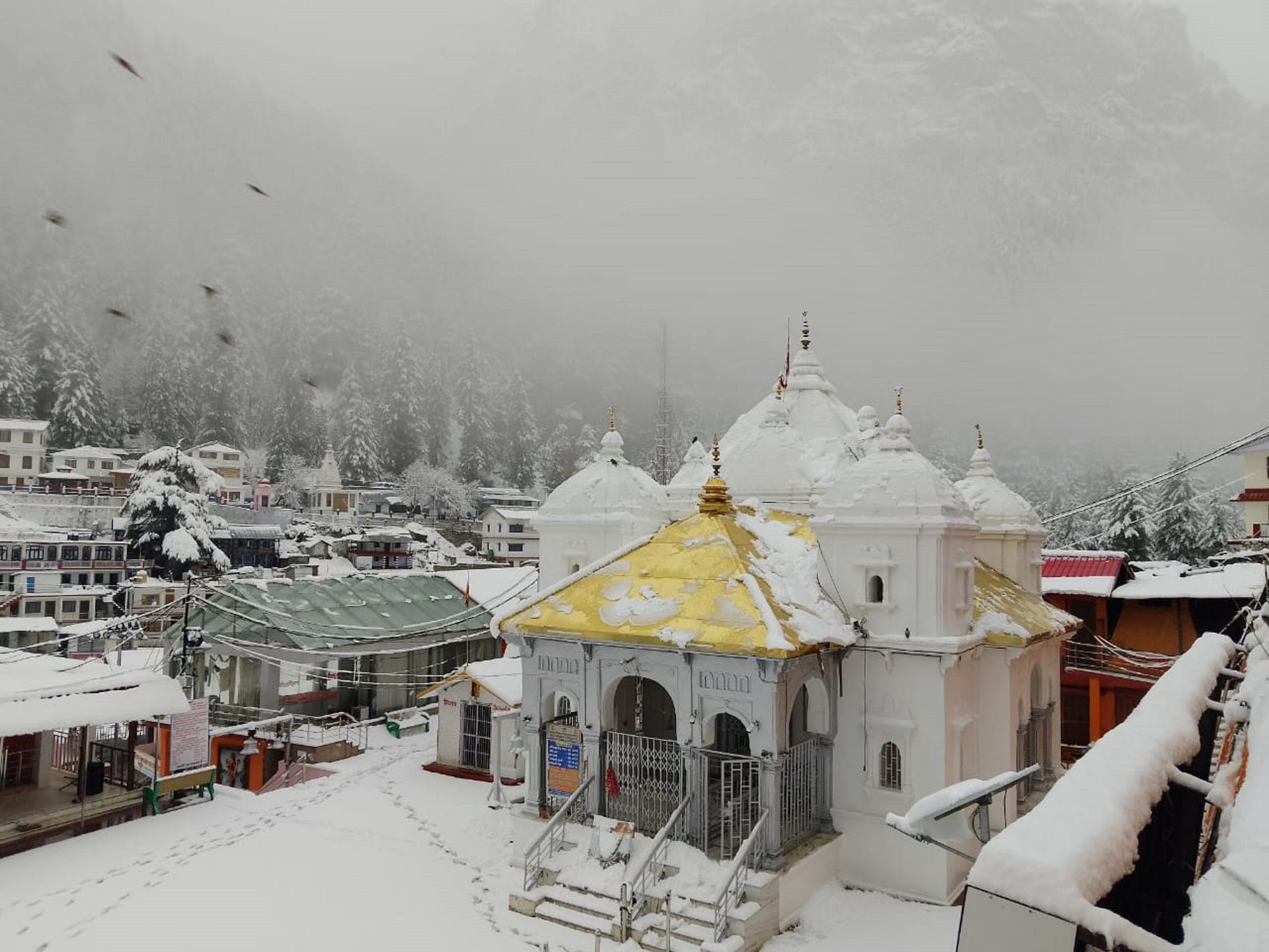 Uttarakhand Weather News Snowfall Rain in Badrinath Kedarnath Gangotri Dham watch Photos