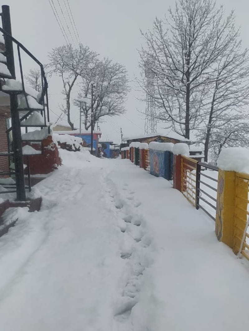 Uttarakhand Weather Forecast Update Today Snowfall In Hilly Area on New Year fog in plains orange alert