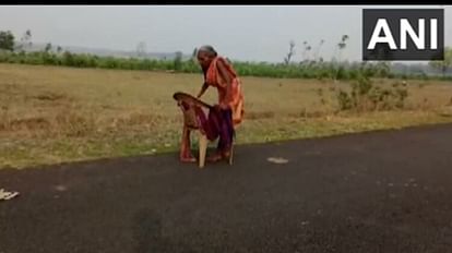 Odisha: पेंशन के लिए चिलचिलाती धूप में नंगे पैर कुर्सी के सहारे बैंक जाने को मजबूर बुजुर्ग महिला, वीडियो वायरल 70 years old woman go to withdraw pension from sbi bank with the help of chair in Odisha news in hindi