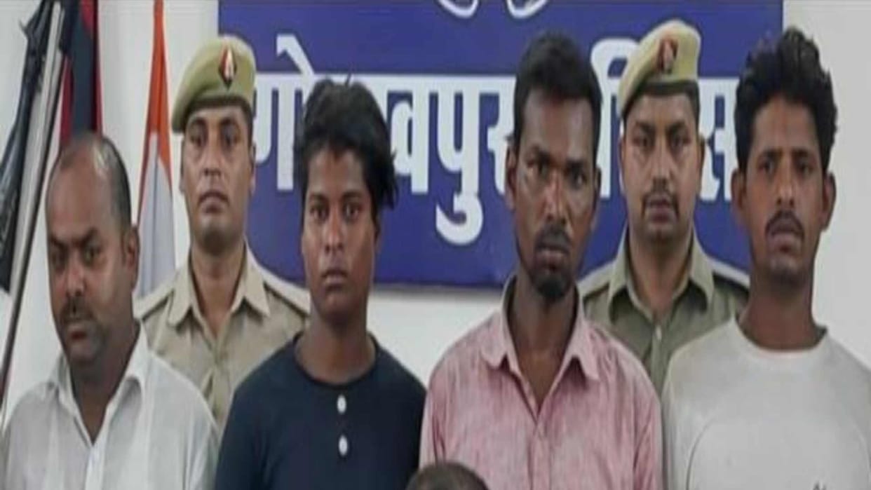 Ramgarhtal turtles were being smuggled abroad four accused arrested